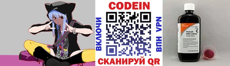 Купить закладки  Котлас  Кодеин Purple Drank 