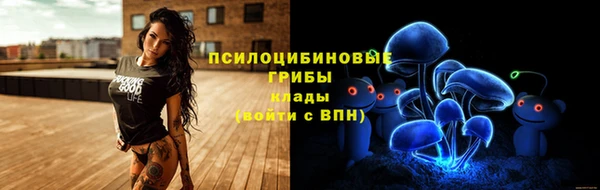гидропоника Бородино