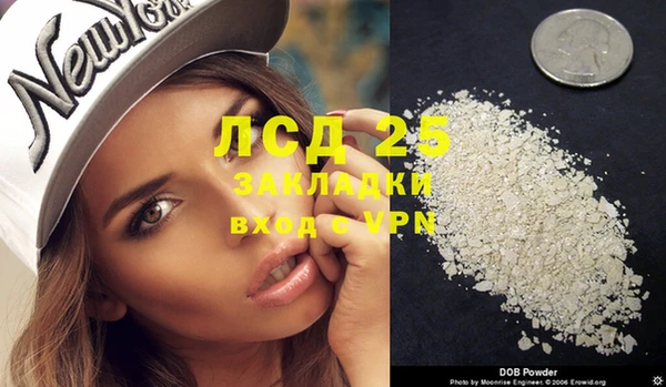гидропоника Бородино