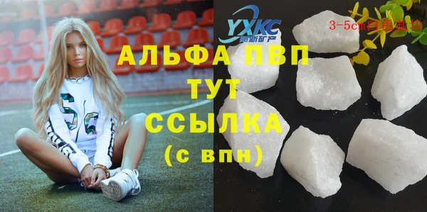 гидропоника Бородино