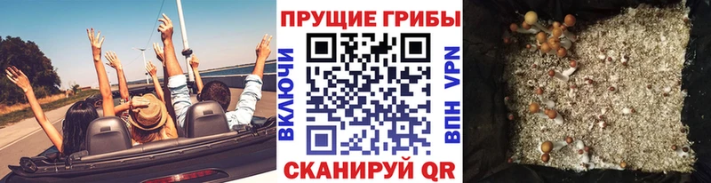 Купить закладки  Котлас  Галлюциногенные грибы GOLDEN TEACHER 