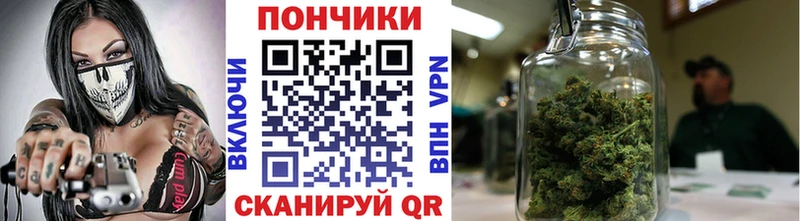 Шишки марихуана марихуана  Купить где  Котлас 